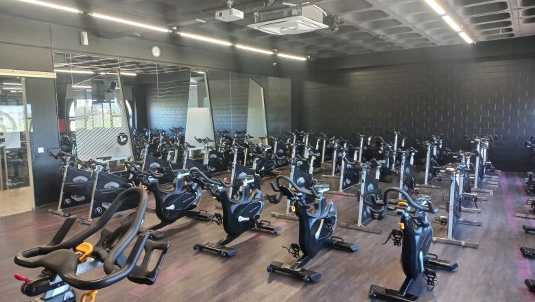 Estudio Cycle